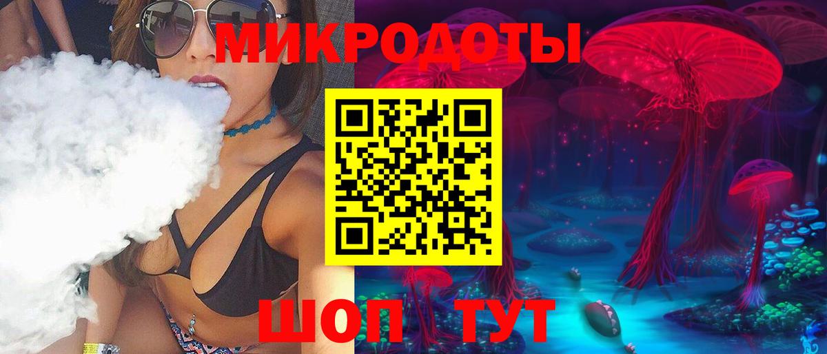 Псилоцибиновые грибы мицелий Нижний Новгород