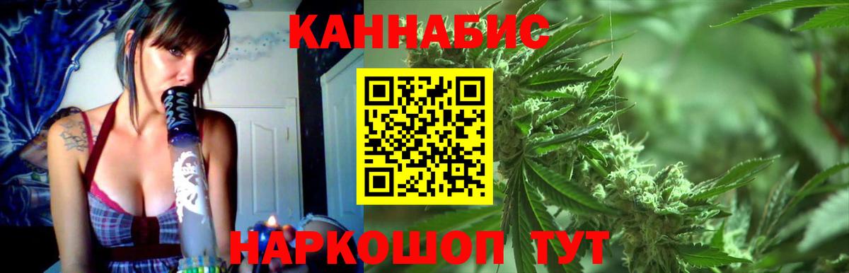 Бошки Шишки сатива  Вход с VPN  Каннабис сатива  Нижний Новгород 